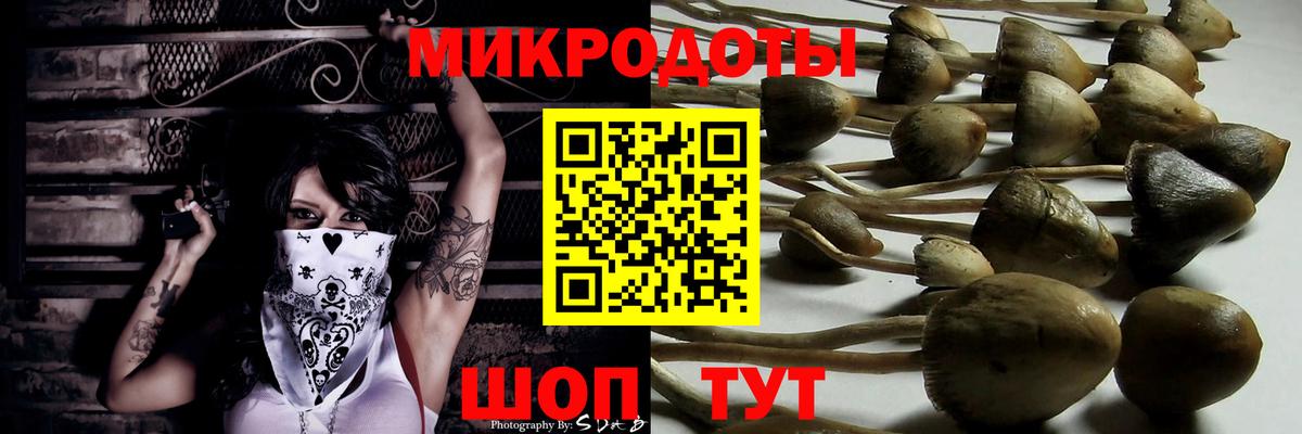 Галлюциногенные грибы Psilocybine cubensis  купить наркотик  Кимовск  Вход с VPN 
