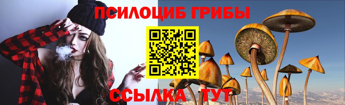 Галлюциногенные грибы прущие грибы Кимовск